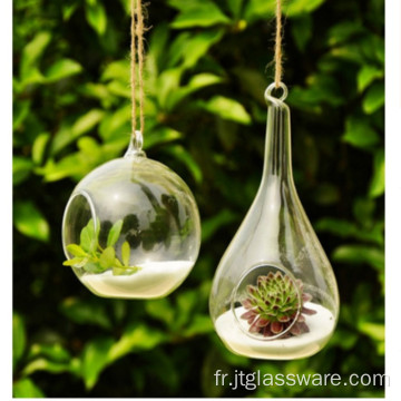 Terrarium en verre pour plantes succulentes